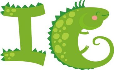 字母y的教案精选5篇