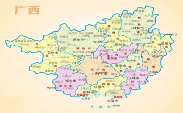 新疆自治区第十次党代会心得体会8篇