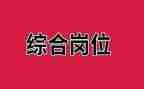 个人综合岗述职报告8篇
