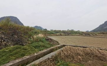 城市房屋租赁合同7篇